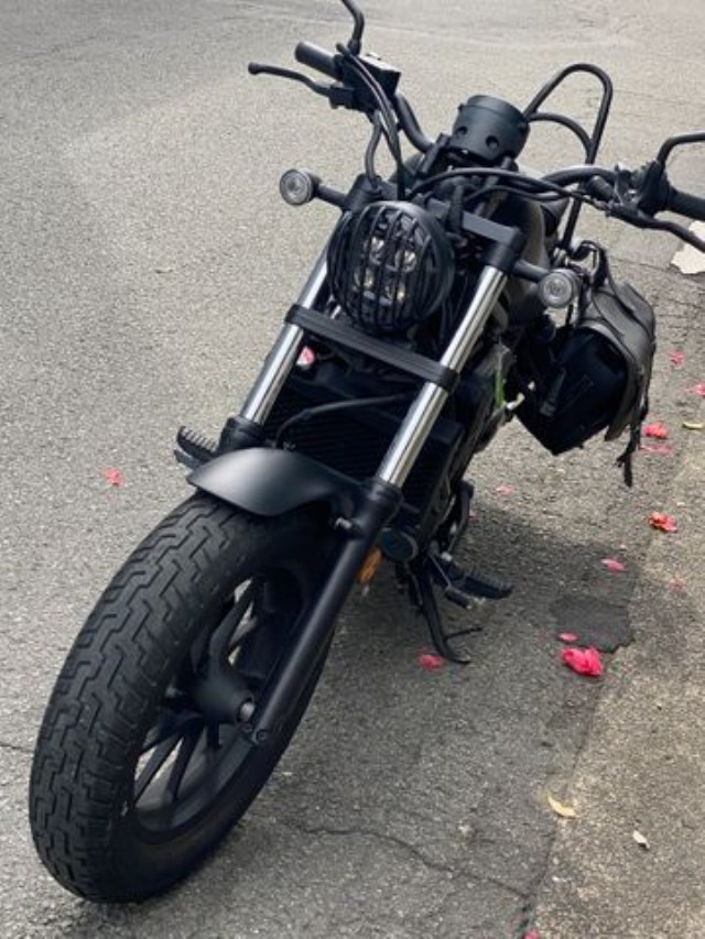 �z���_���u��250�i���Q�����R�s�j�摜5