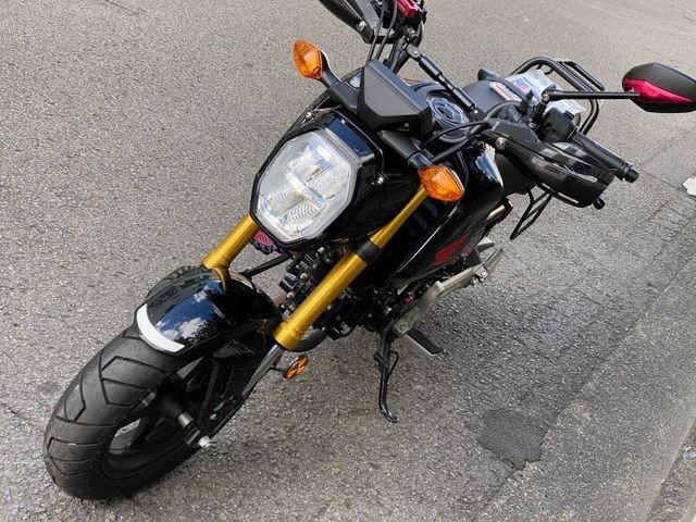 �z���_�O�����i���Q�����R�s�j�摜5