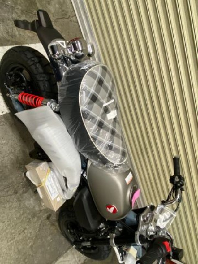 �z���_�����L�[125�i���Q�����R�s�j�摜8