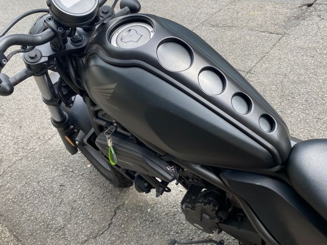 �z���_���u��250�i���Q�����R�s�j�摜9