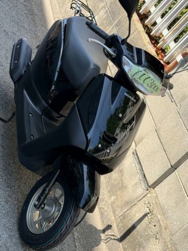 �z���_�^�N�g�E�x�[�V�b�N�i���Q�����R�s�j�摜3