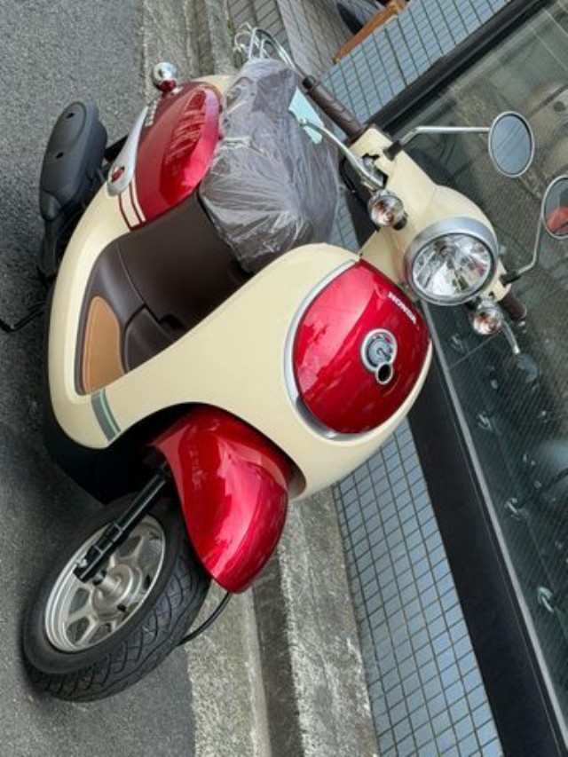 �z���_�W�����m�i���Q�����R�s�j�摜4