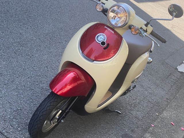 �z���_�W�����m�i���Q�����R�s�j�摜5