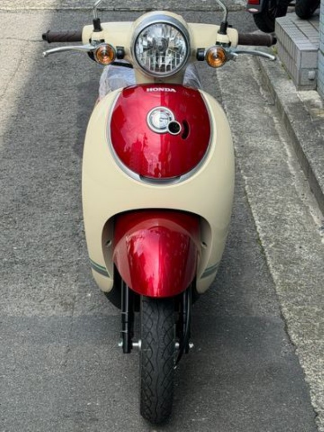 �z���_�W�����m�i���Q�����R�s�j�摜5