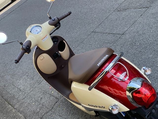 �z���_�W�����m�i���Q�����R�s�j�摜6