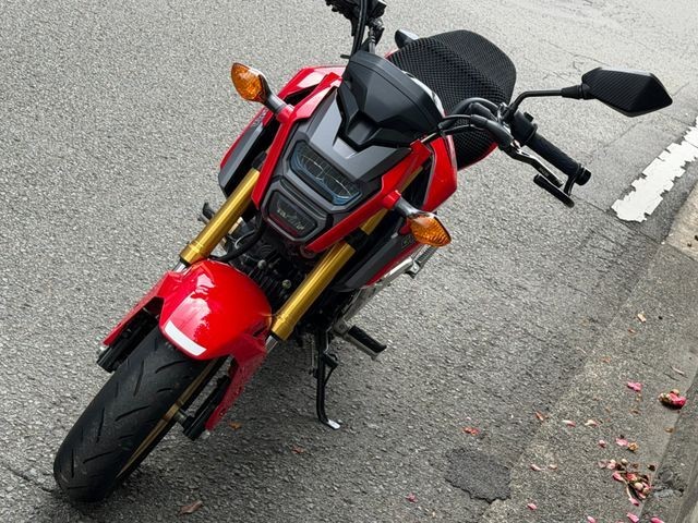 �z���_�O�����i���Q�����R�s�j�摜4