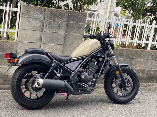 �z���_���u��250�i���Q�����R�s�j�摜3