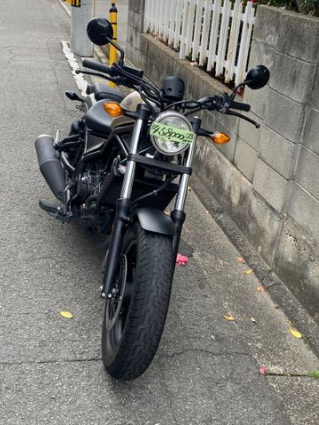 �z���_���u��250�i���Q�����R�s�j�摜5