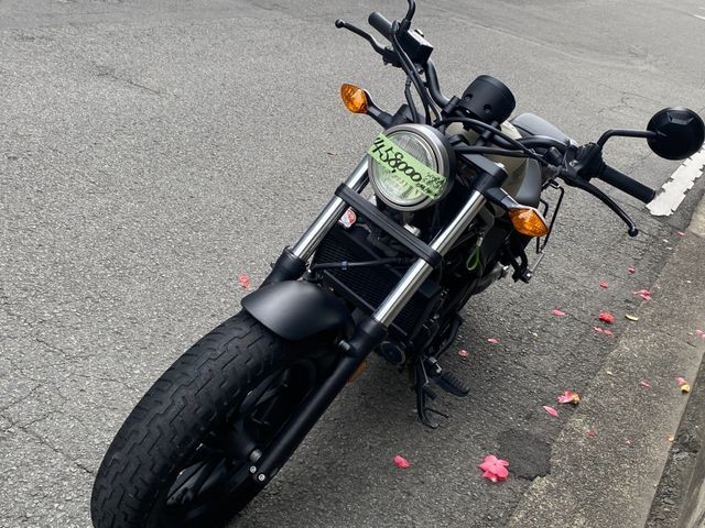 �z���_���u��250�i���Q�����R�s�j�摜6