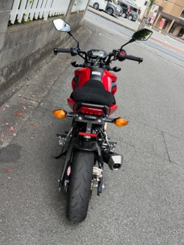 �z���_�O�����i���Q�����R�s�j�摜9
