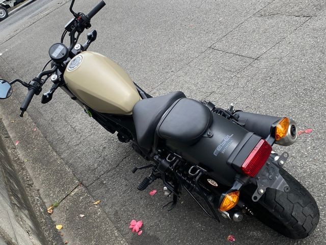 �z���_���u��250�i���Q�����R�s�j�摜7