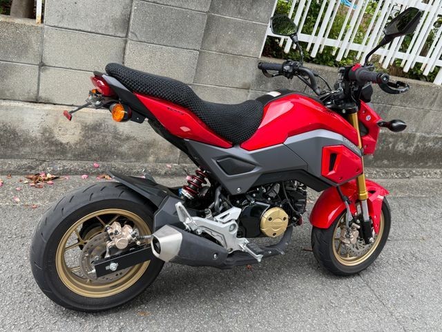 �z���_�O�����i���Q�����R�s�j�摜10
