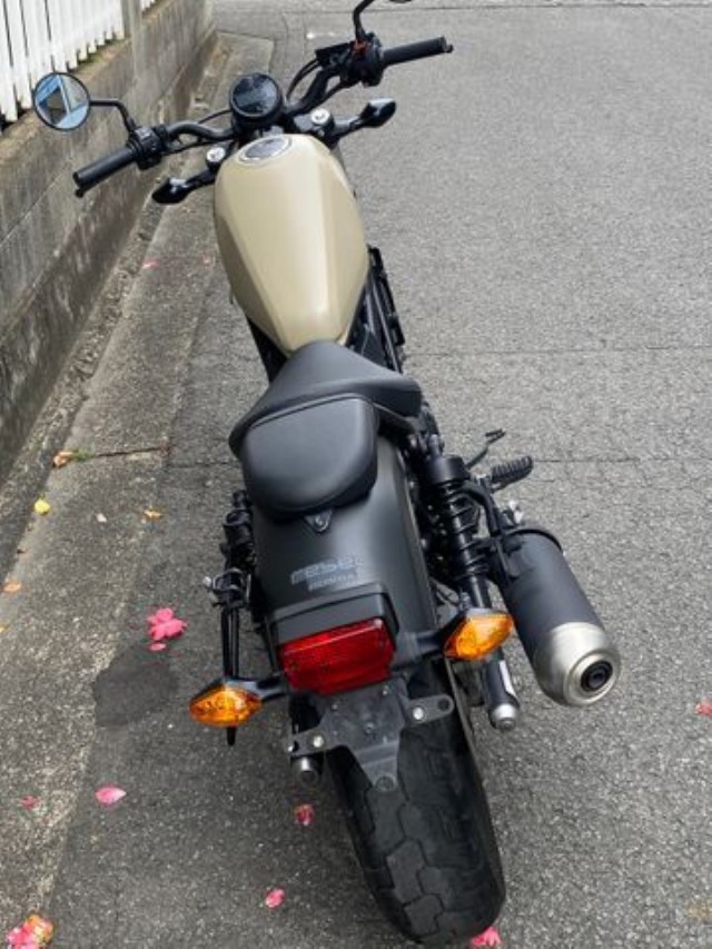 �z���_���u��250�i���Q�����R�s�j�摜8