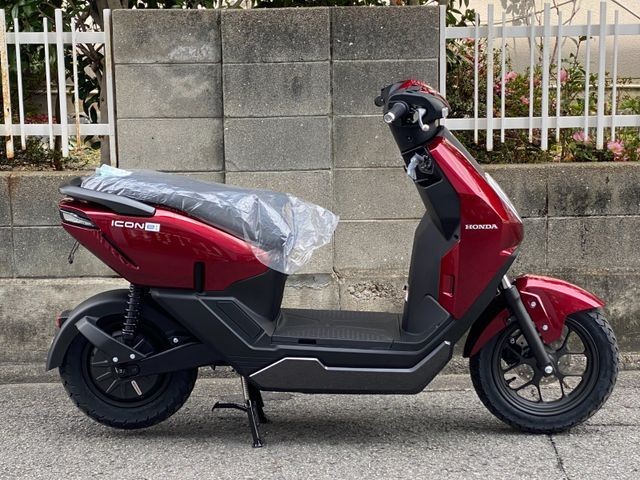�z���_ICON e:�i���Q�����R�s�j�摜1