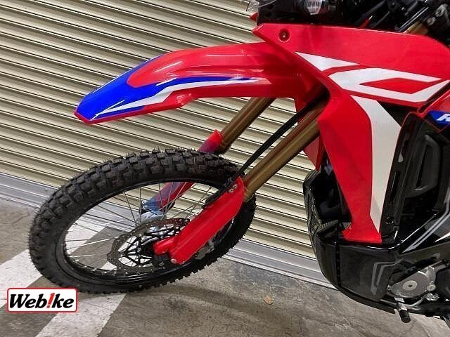 z_CRF250 RALLYiQRsj摜19