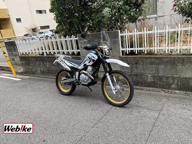 }nZ[250iQRsj摜12