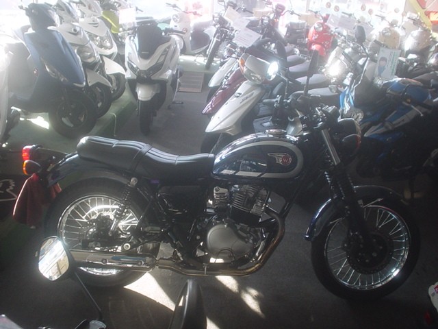 �J���T�LW230�i���Q�����R�s�j�摜1