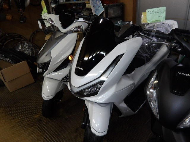 �z���_PCX�i����������s�j�摜1