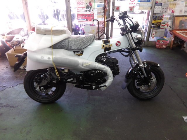 �z���_�_�b�N�X125�i����������s�j�摜2