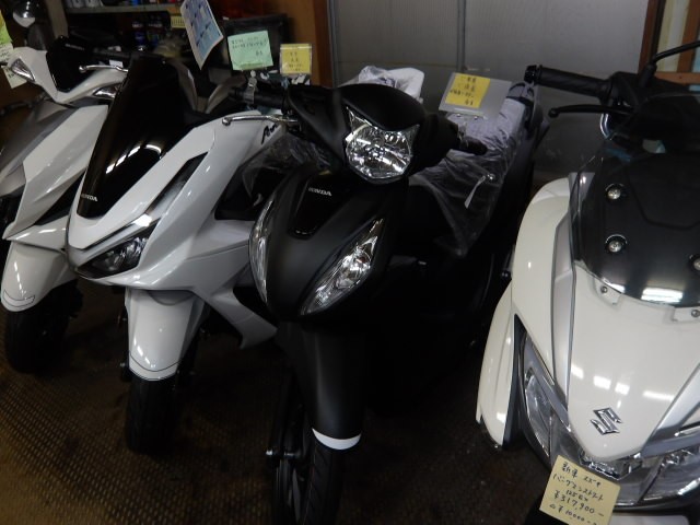 �z���_�f�B�I110�i����������s�j�摜1