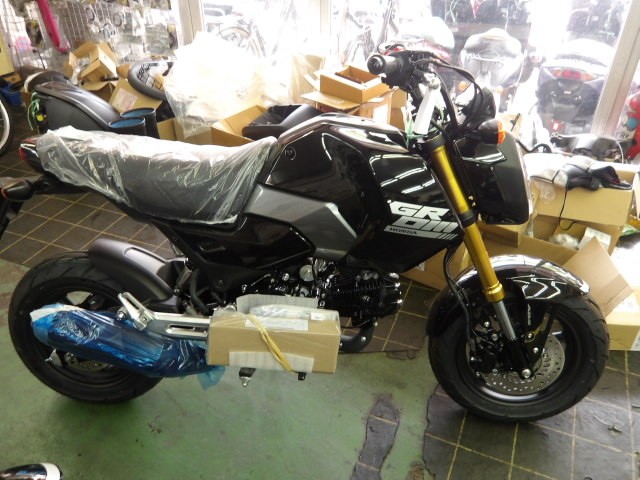 �z���_�O�����i����������s�j�摜2