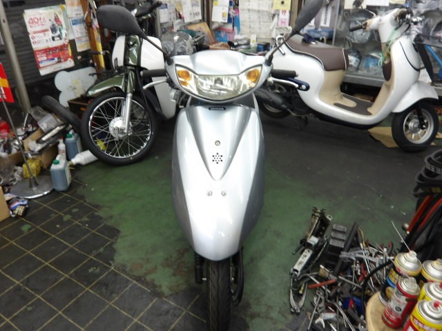 �z���_�f�B�I�i����������s�j�摜2