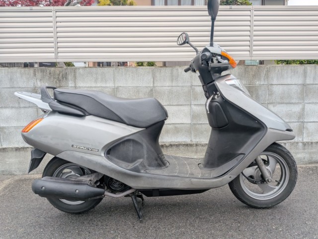 �z���_�X�y�C�V�[100�i�����������s�j�摜1