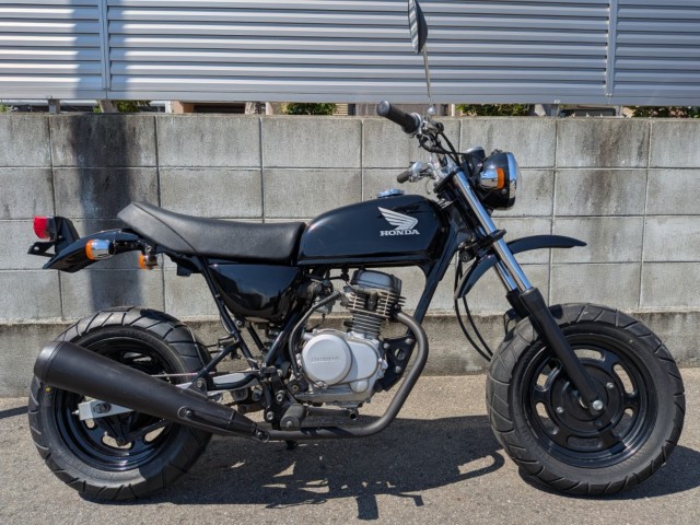 �z���_�G�C�v50�i�����������s�j�摜1