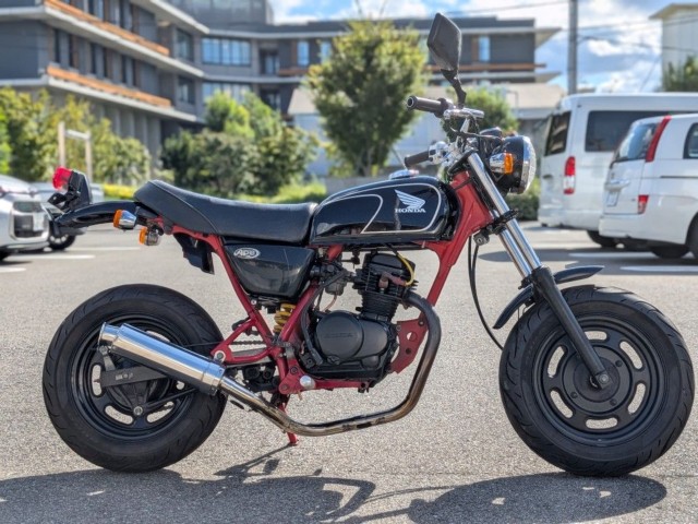 �z���_�G�C�v50�i�����������s�j�摜1