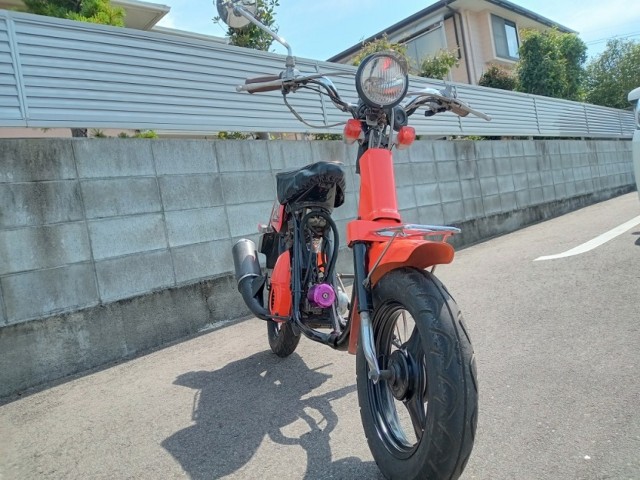 }npb\isj摜2