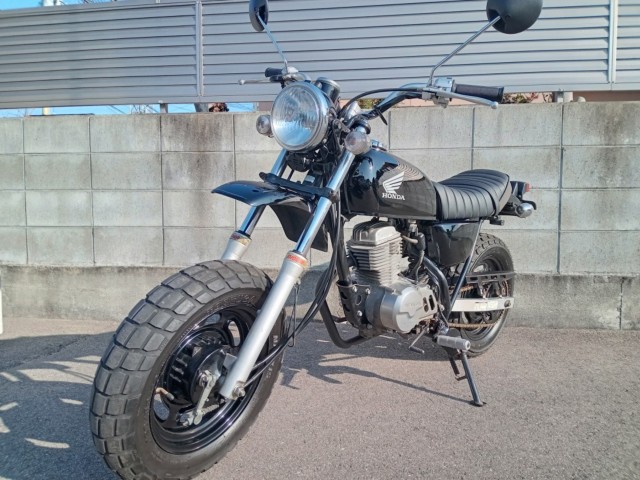 �z���_�G�C�v50�i�����������s�j�摜2