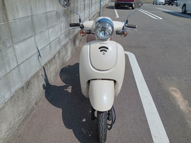 �z���_�W�����m�i�����������s�j�摜2