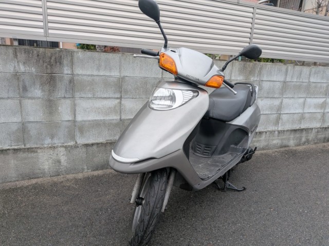 �z���_�X�y�C�V�[100�i�����������s�j�摜2