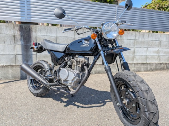 �z���_�G�C�v50�i�����������s�j�摜2