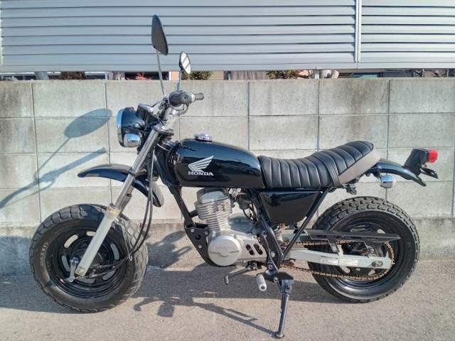 �z���_�G�C�v50�i�����������s�j�摜3