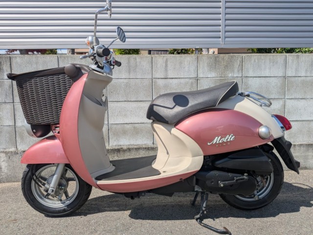 ���}�n�r�[�m�����t�F�i�����������s�j�摜3