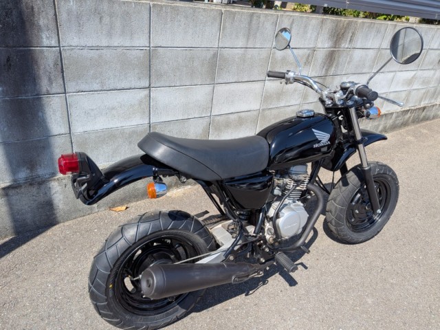 �z���_�G�C�v50�i�����������s�j�摜3