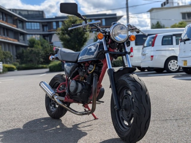 �z���_�G�C�v50�i�����������s�j�摜3