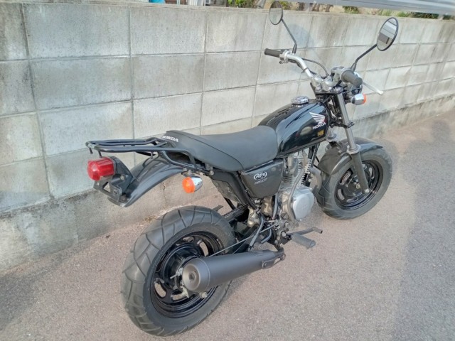 �z���_�G�C�v50�i�����������s�j�摜4