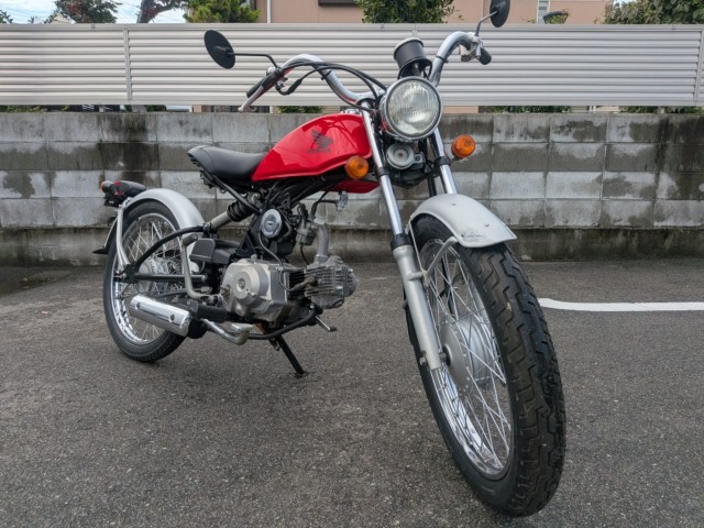 �z���_�\���i�����������s�j�摜5