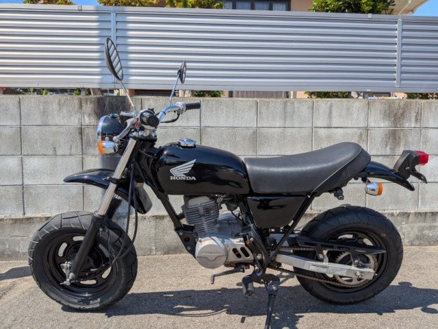 �z���_�G�C�v50�i�����������s�j�摜4