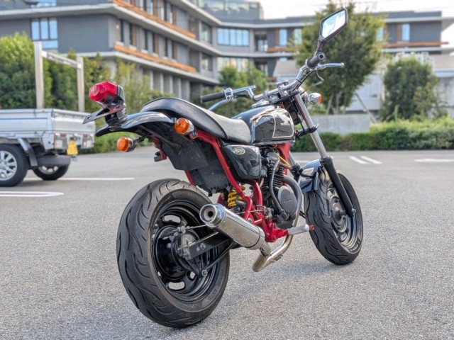 �z���_�G�C�v50�i�����������s�j�摜4
