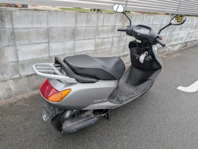 �z���_�X�y�C�V�[100�i�����������s�j�摜4