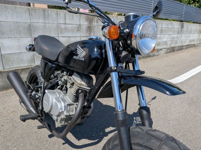 �z���_�G�C�v50�i�����������s�j�摜6