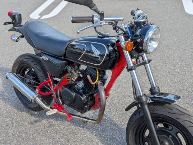 �z���_�G�C�v50�i�����������s�j�摜6