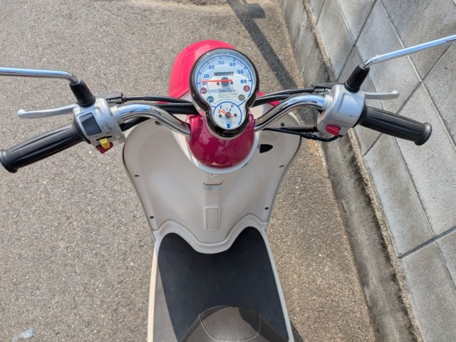 ���}�n�r�[�m�i�����������s�j�摜6