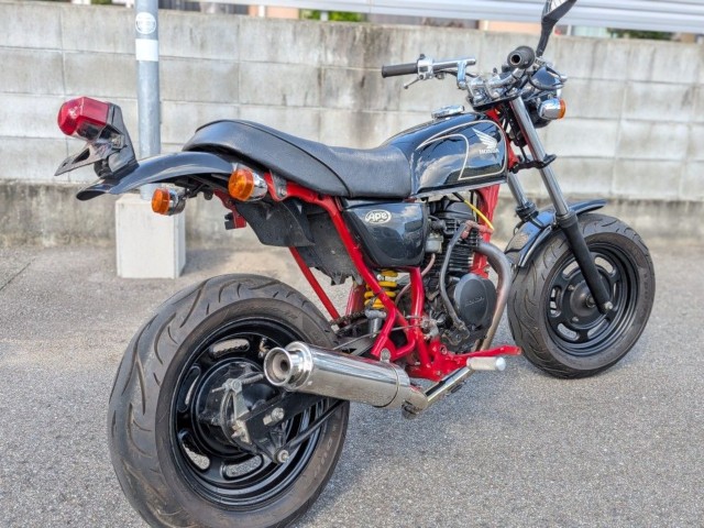�z���_�G�C�v50�i�����������s�j�摜7
