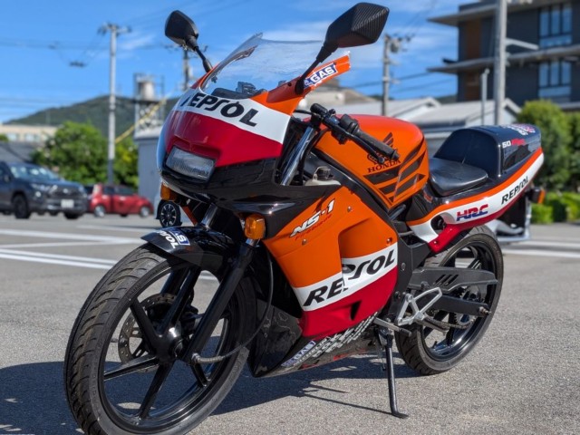 �z���_NS-1�i�����������s�j�摜2