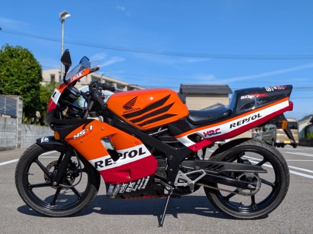 �z���_NS-1�i�����������s�j�摜3