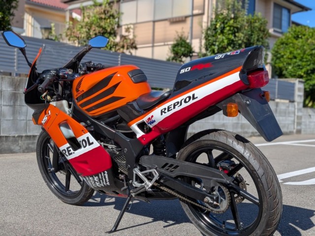 �z���_NS-1�i�����������s�j�摜4